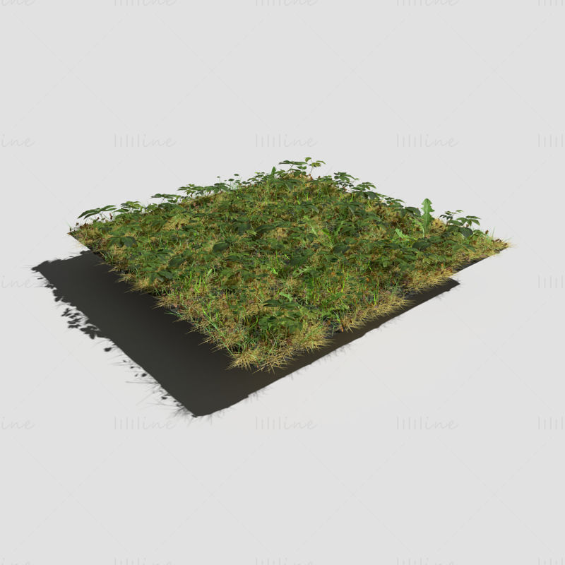 Ashweed Dense Meadow Patch 3D Model and Free Gift