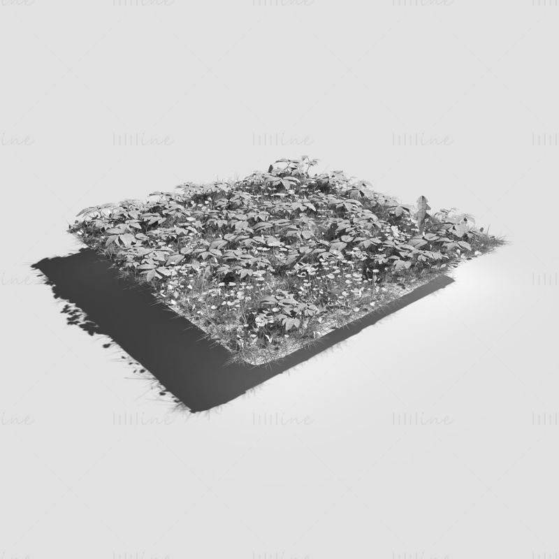 Ashweed Dense Meadow Patch مدل سه بعدی و هدیه رایگان