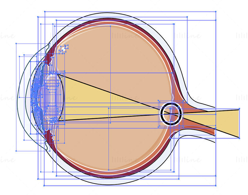Ilustración de vector de ojo astigmático