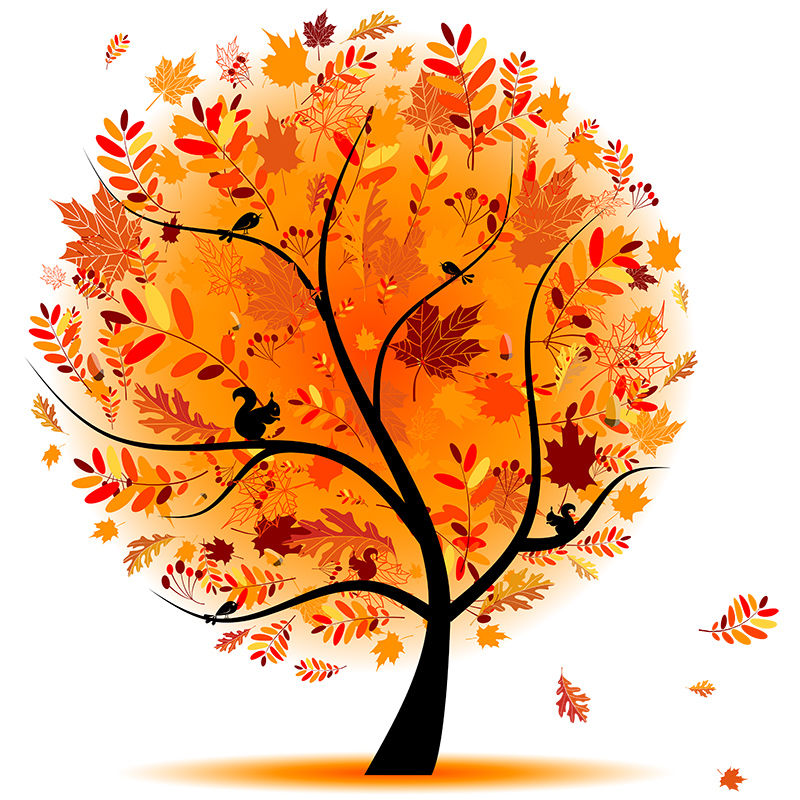 Autumn tree vector illustration