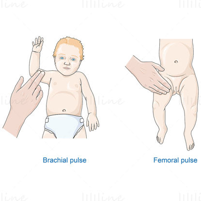 Вектор измерения пульса ребенка