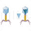 Bacteriophage vector scientific illustration
