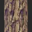 Bark Texture