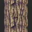 Bark Texture PNG