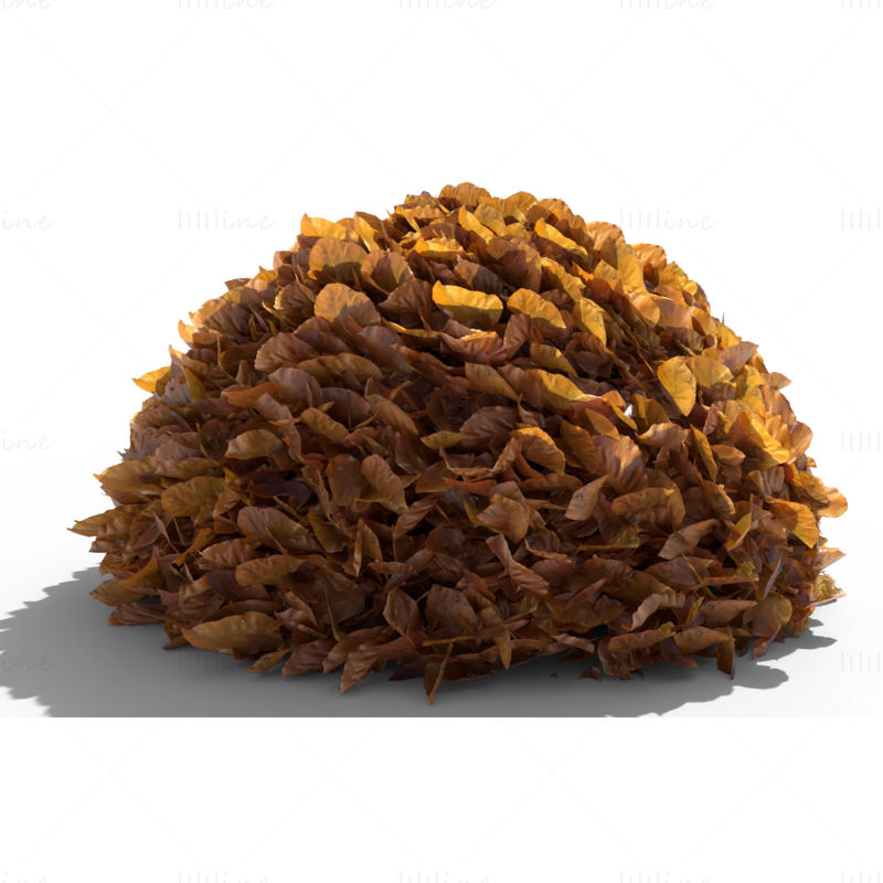 Beech Leaf Pile 3D Model
