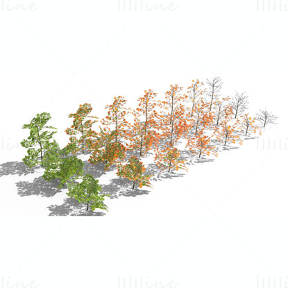 Pack de modèles 3D d'arbustes en hêtre