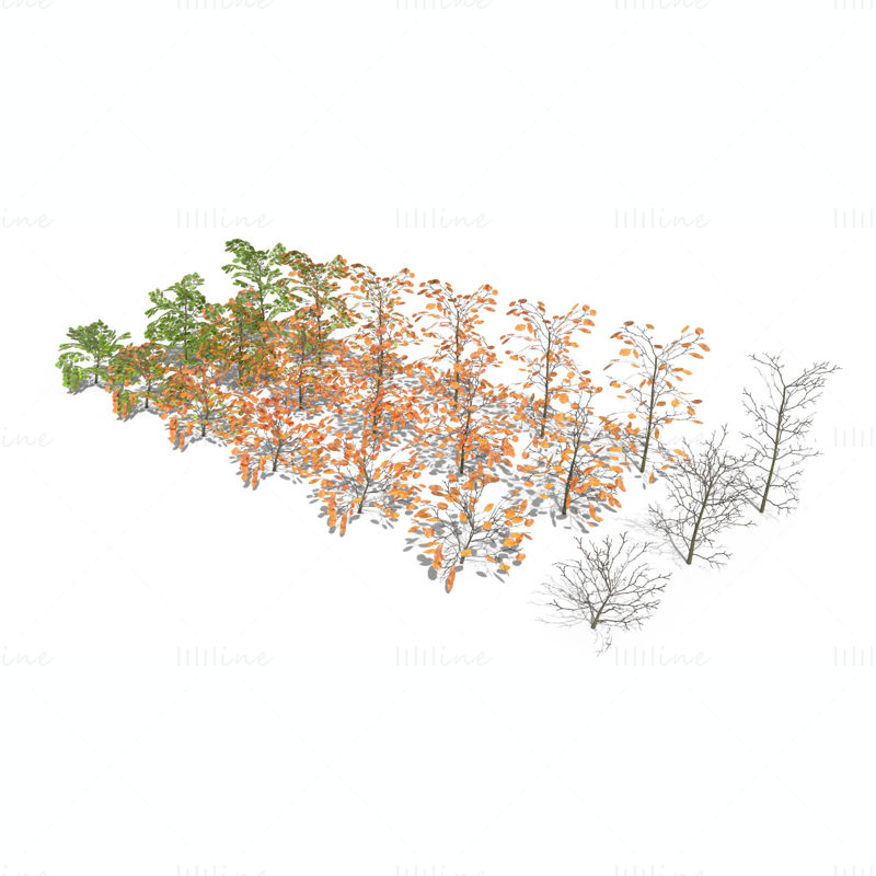 Paquete de modelos 3D de arbustos de haya
