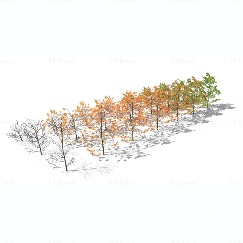 Pacote de modelos 3D de arbustos de faia