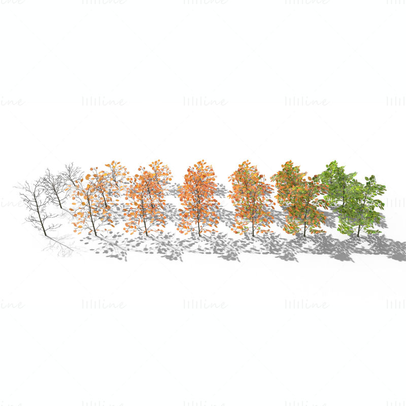 Pacote de modelos 3D de arbustos de faia