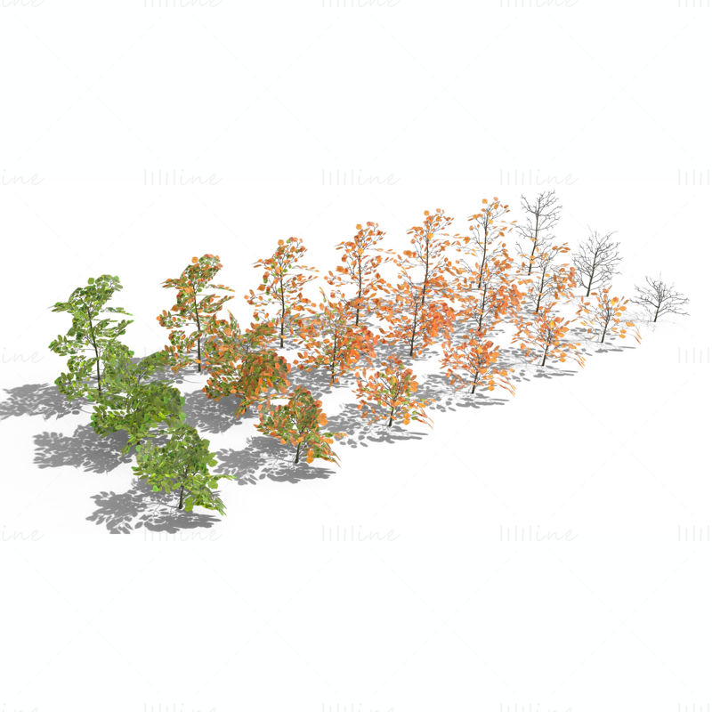 حزمة نماذج ثلاثية الأبعاد لشجيرات الزان