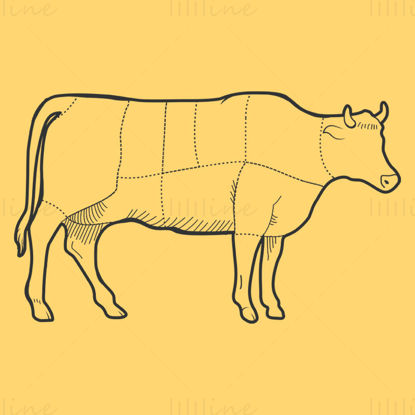 وکتور نمودار برش گوشت گاو