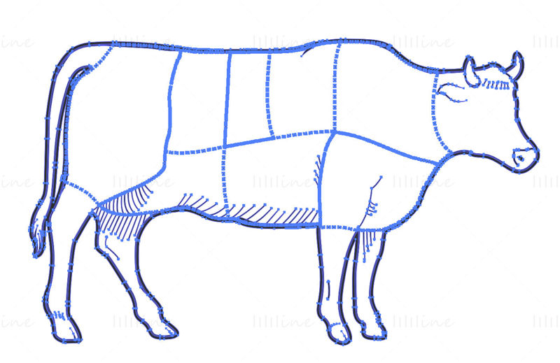 Вектор диаграммы отрубов говядины
