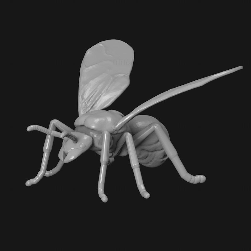 Big-ass ant 3d print model