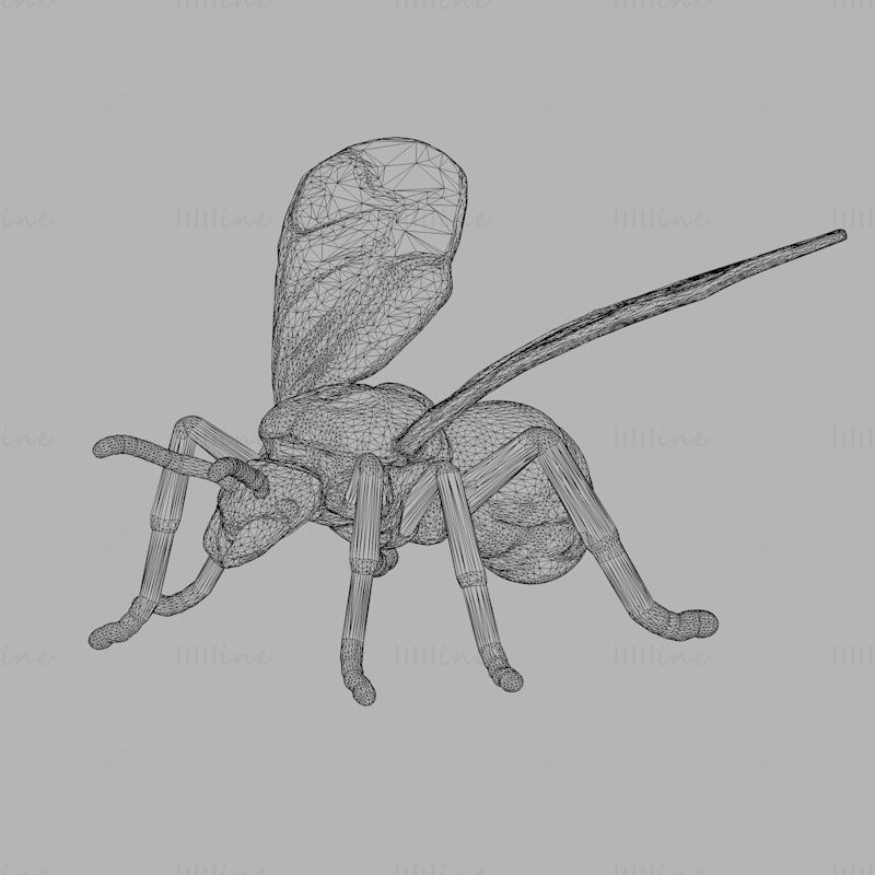 Big-ass ant 3d print model