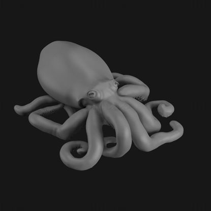 Big Octopus 3d printing model