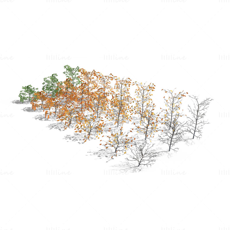 Pacote de modelos 3D de arbustos de bétula