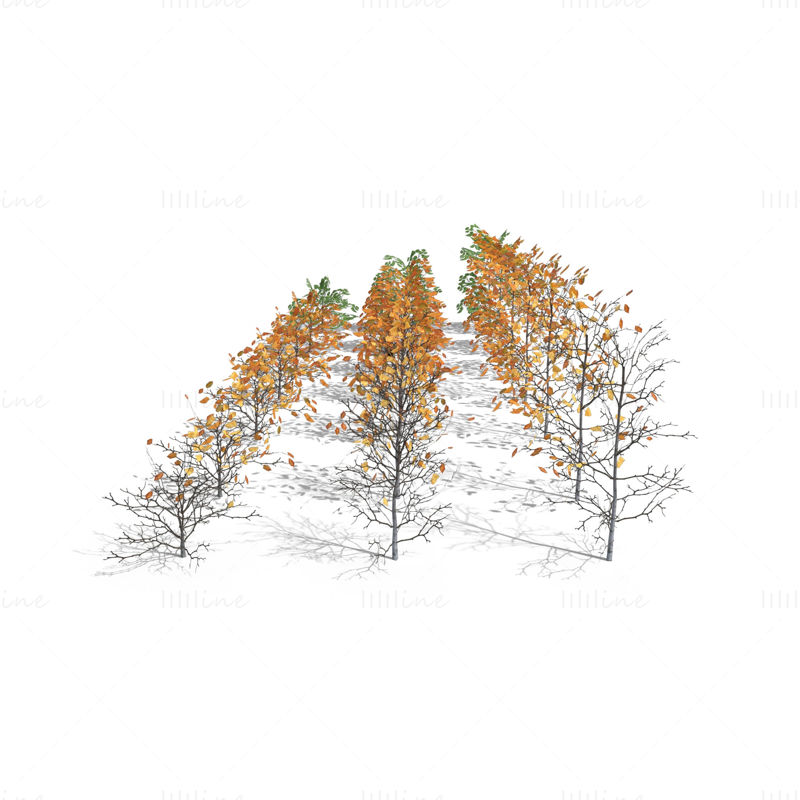 Paquete de modelos 3D de arbustos de abedul