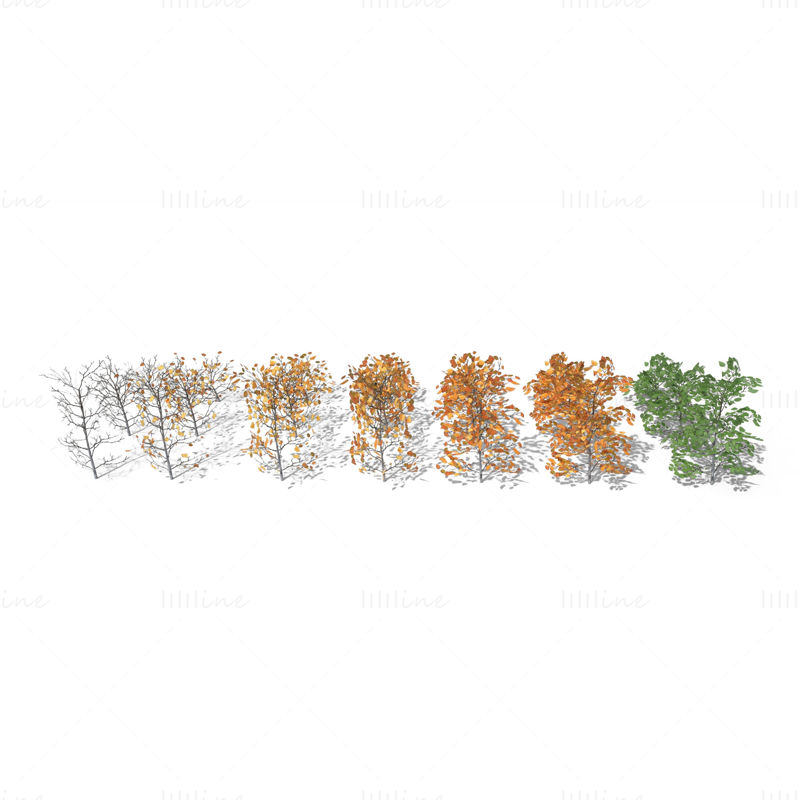 Pacchetto modello 3D di arbusti di betulla