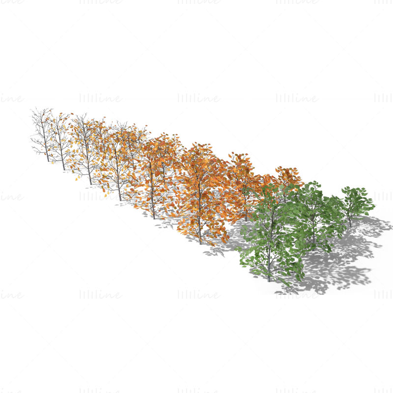 Pacote de modelos 3D de arbustos de bétula