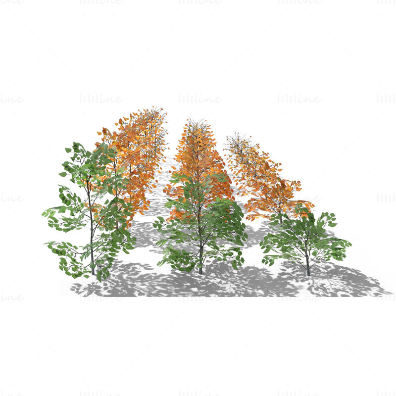 Paquete de modelos 3D de arbustos de abedul
