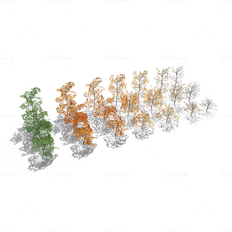 Pack de modèles 3D d'arbustes de bouleau