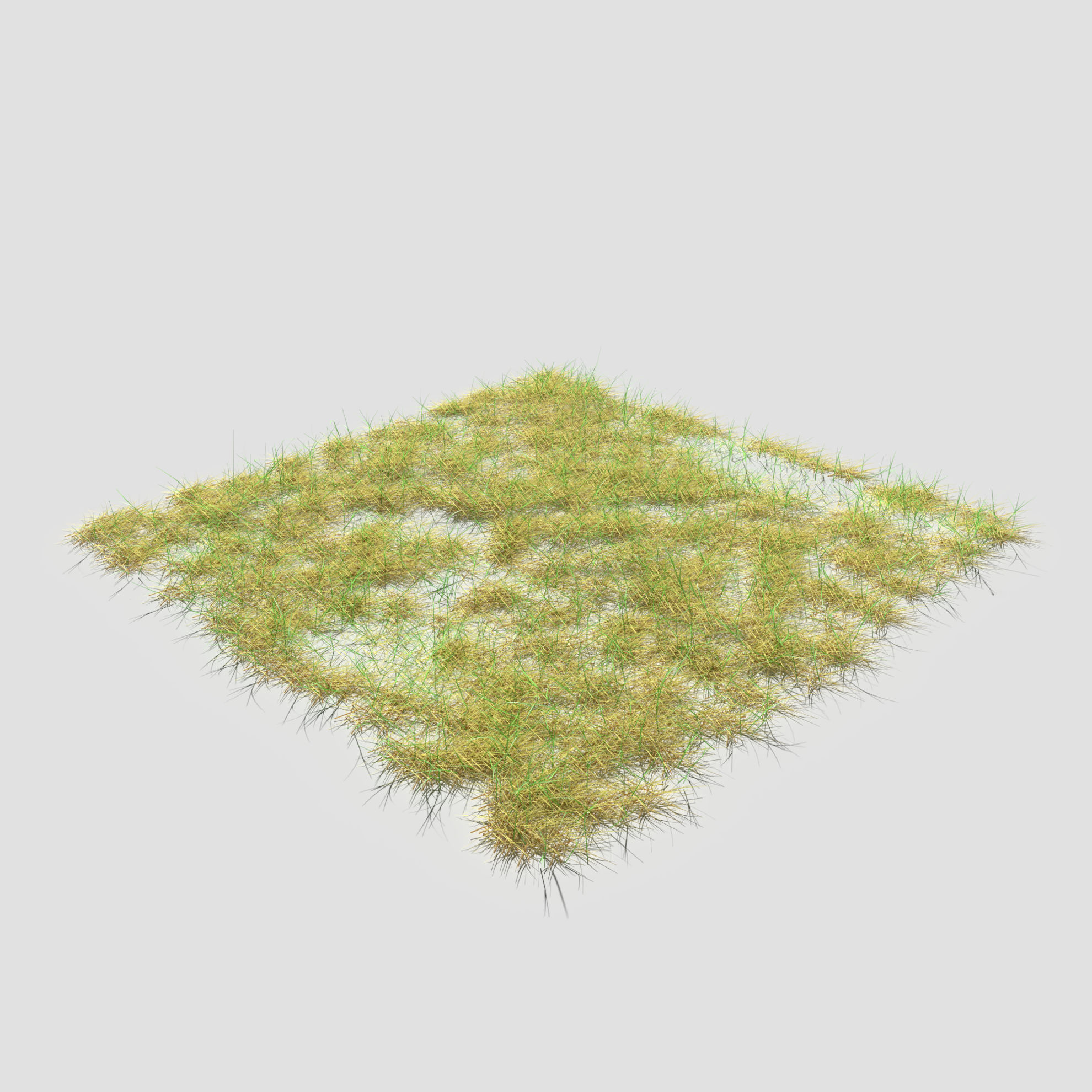 Bitter Dock Meadow Patch 3D Model