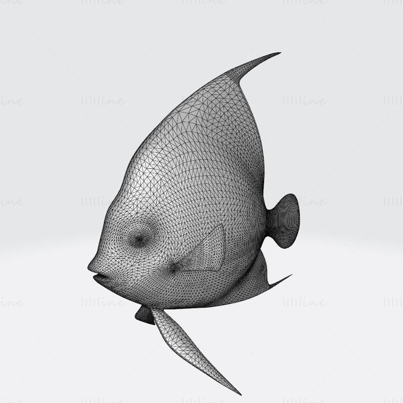 Black Angelfish 3D Model Ready to Print STL FBX OBJ