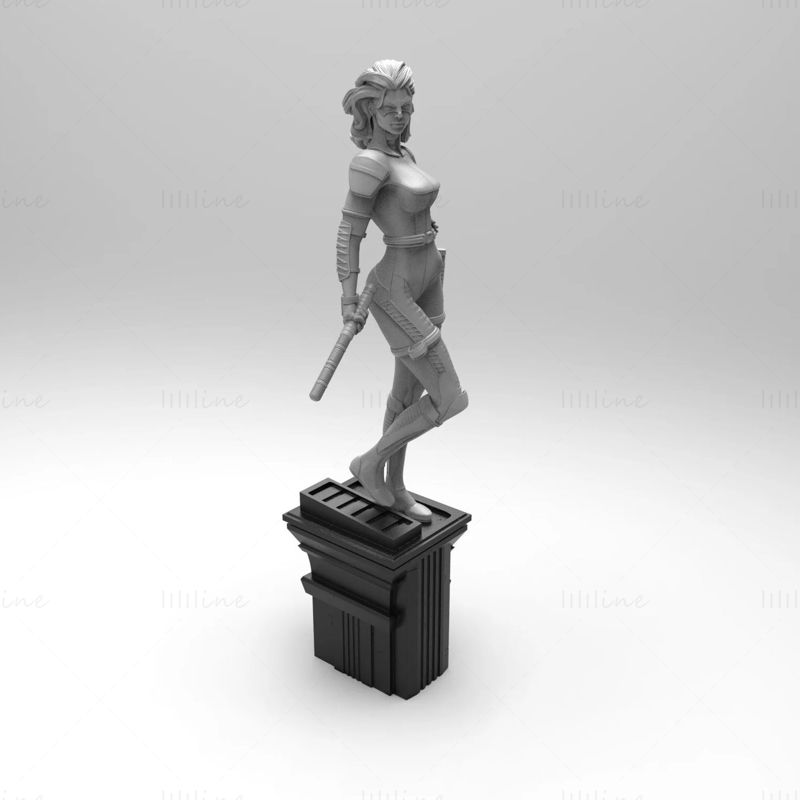 Black Canary DC 3D Model Ready to Print STL