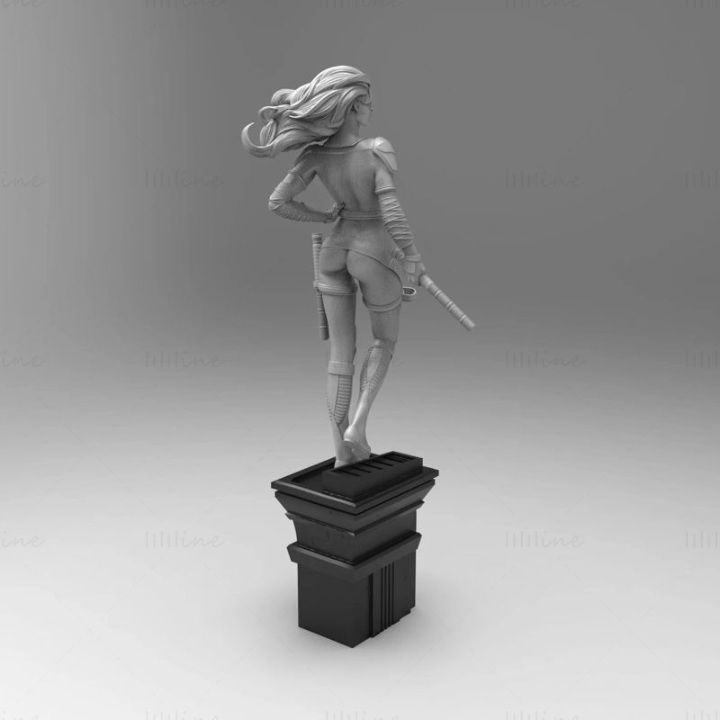 Black Canary DC 3D Model Ready to Print STL