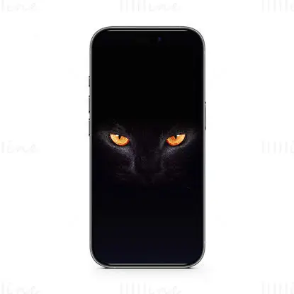 Fond d'écran de téléphone portable avec chat noir