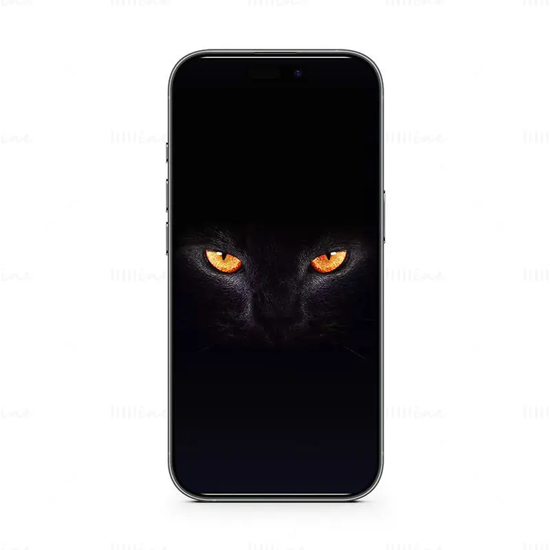 Schwarze Katze Handy-Hintergrund