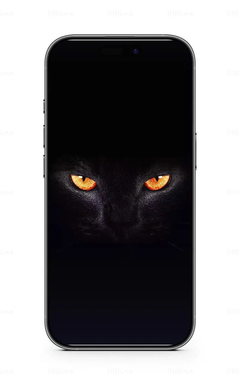 Fondo de pantalla para celular de gato negro