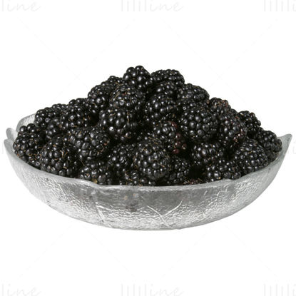 Black Raspberry PNG