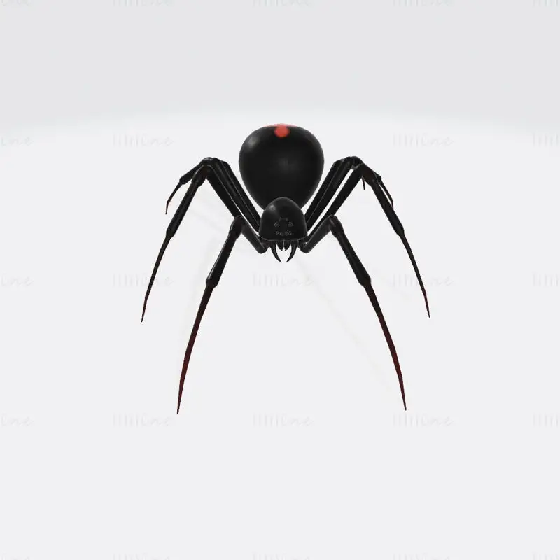 Black Widow Spider 3D-utskriftsmodell