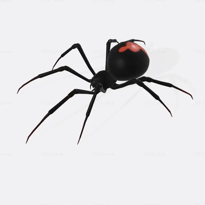 Black Widow Spider 3D Print Model