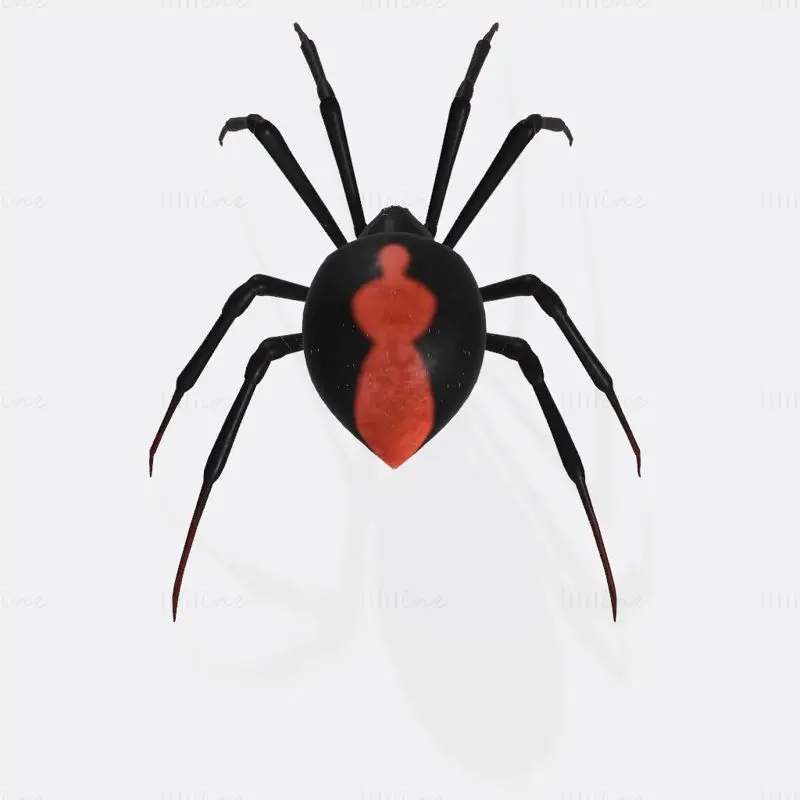 Black Widow Spider 3D-printmodel