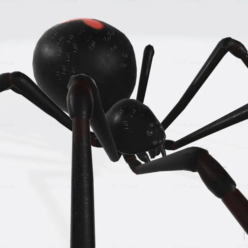 Schwarze Witwenspinne 3D-Druckmodell
