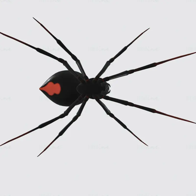 نموذج طباعة عنكبوت الأرملة السوداء ثلاثي الأبعاد