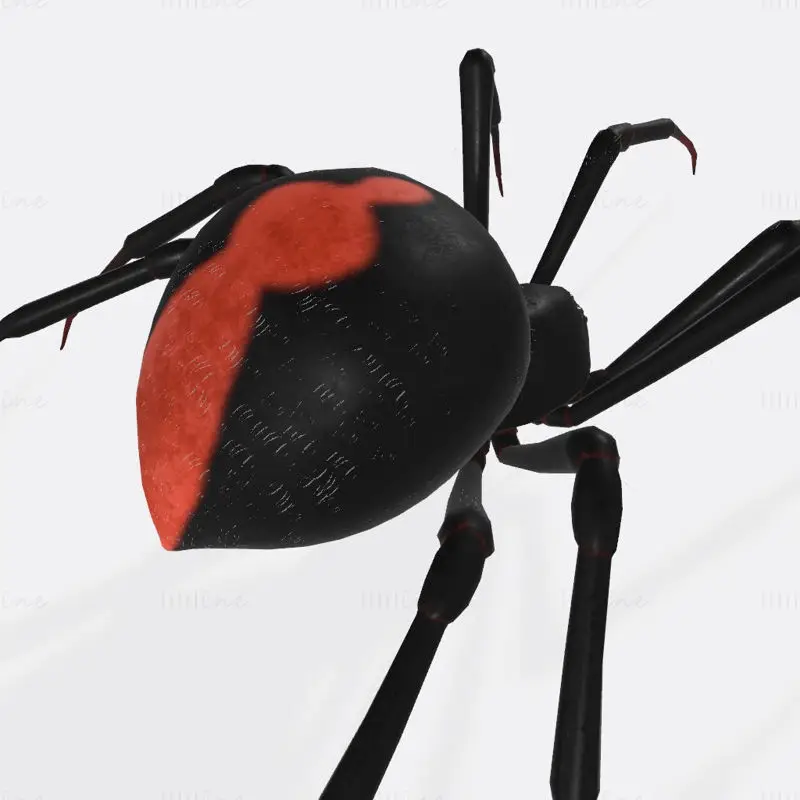 Kara Dul Örümceği 3D Baskı Modeli