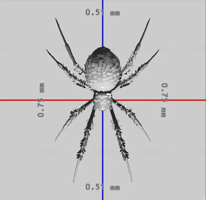 Black Widow Spider 3D Print Model