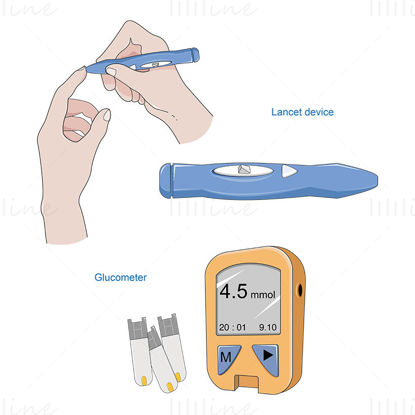 Blood glucose  measurement vector