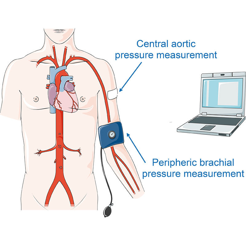 Blood pressure measurement vector illustration