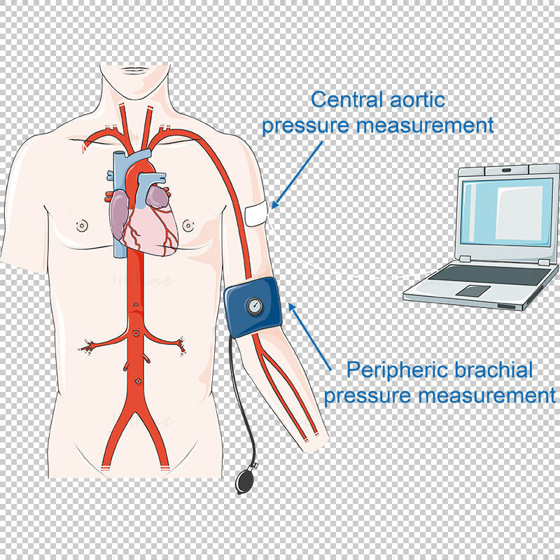 血圧測定のベクトル図
