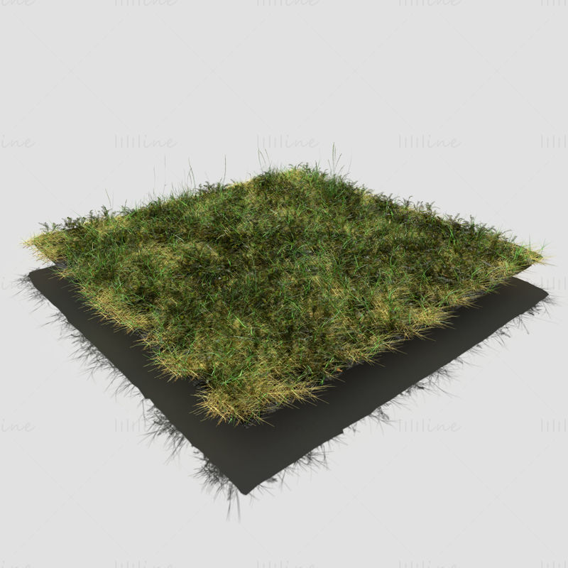 Bloodwort Dense Meadow Patch 3D Model