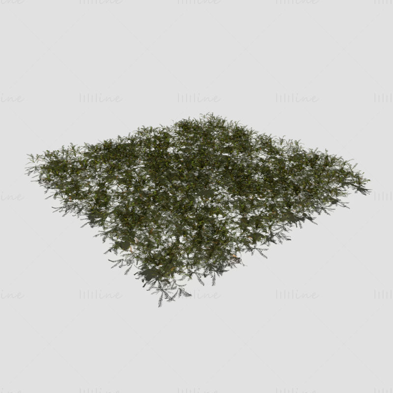 Bloodwort Dense Meadow Patch 3D model