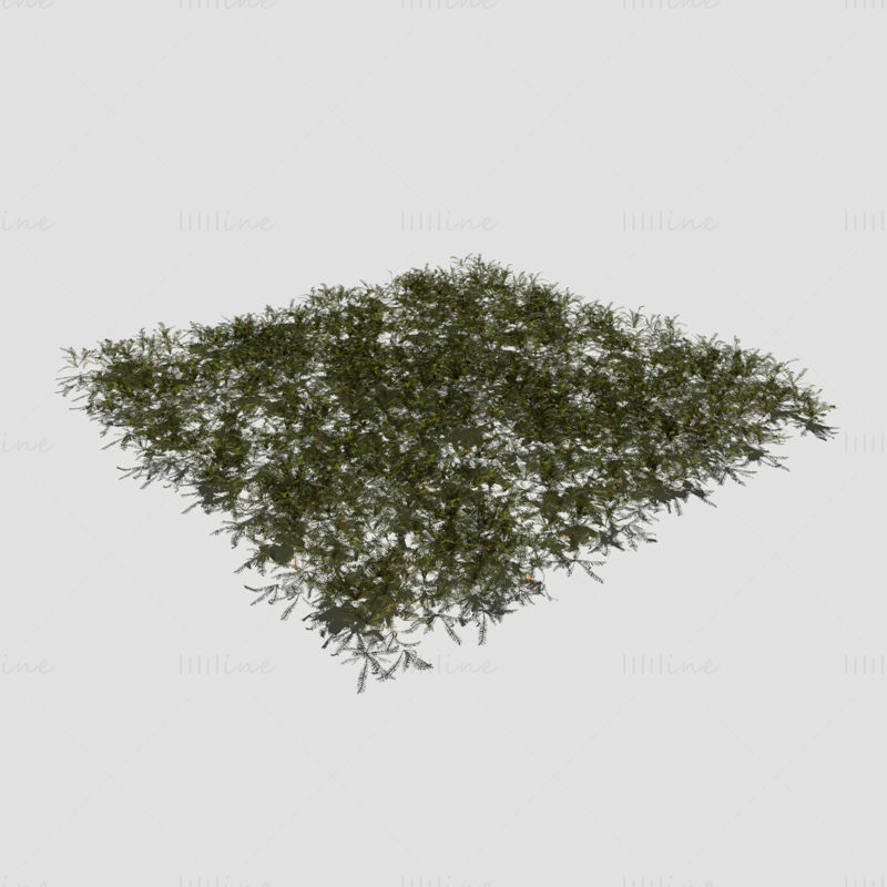 Bloodwort Dense Meadow Patch 3D Model