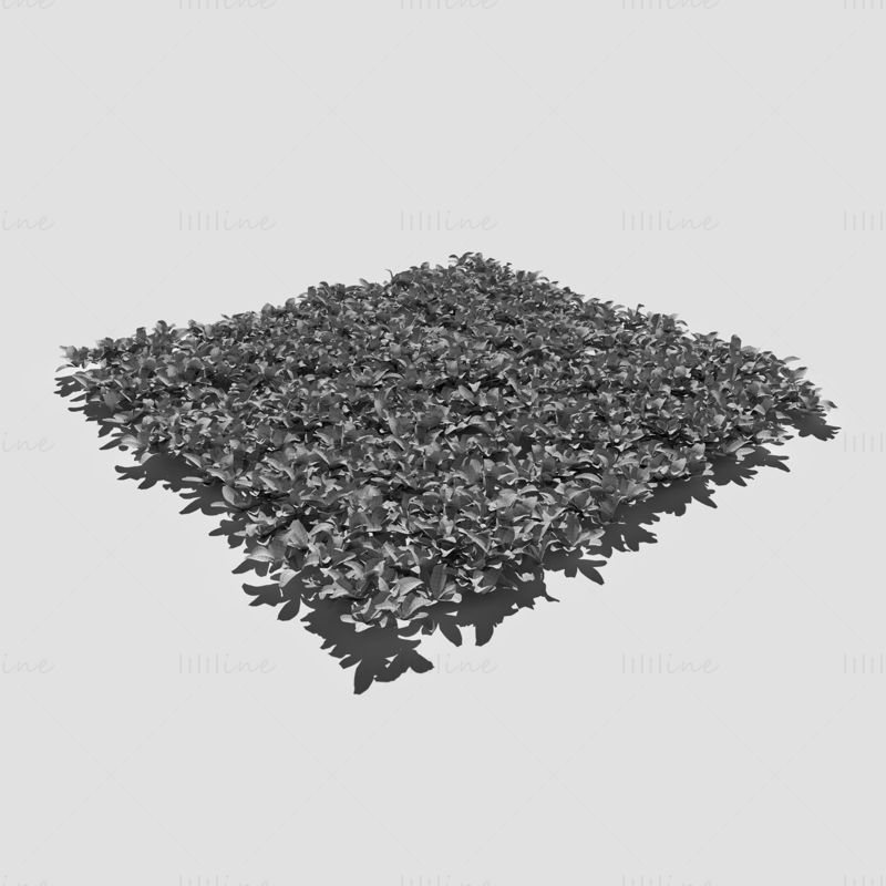 Bloodwort Dense Meadow Patch 3D model