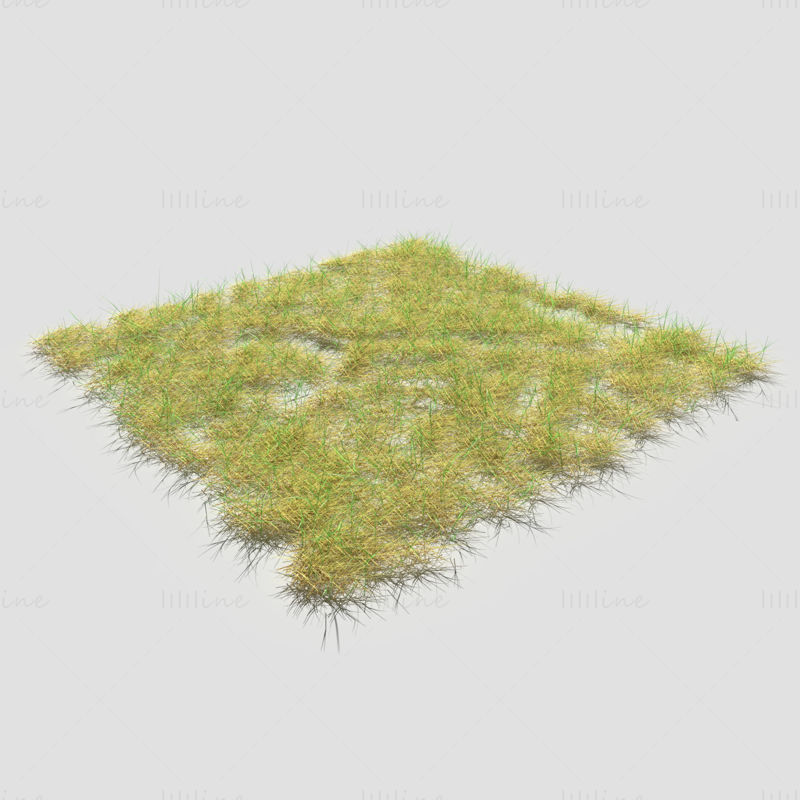 Bloodwort Dense Meadow Patch 3D model