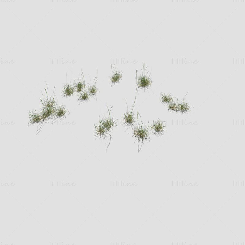 Bloodwort Dense Meadow Patch 3D model