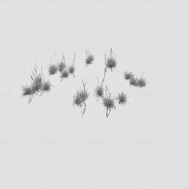 Bloodwort Dense Meadow Patch 3D Model